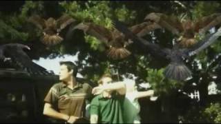 Birdemic: Shock and Terror előzetes