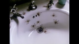 Arachnophobia - Pókiszony előzetes